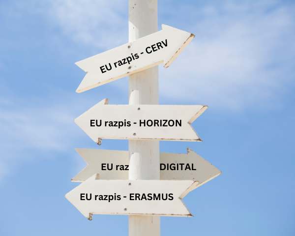 Priložnosti za prijavo na EU razpise CERV, Horizon, DigitalEU, Erasmus+, s svetovanjem Tjaša Logar